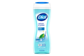 DIAL BODY WASH SPRING WATER 16 OZ