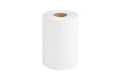 Case Hardwound Paper Towels White 12 per case
